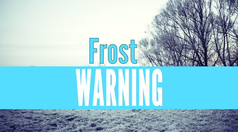 frost-warning-issued-as-cold-nights-continue-1010-wcsi