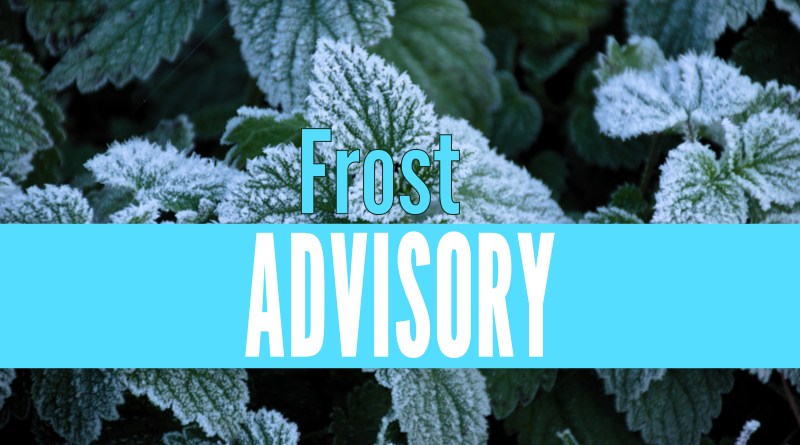 Cold weather brings frost advisory tonight